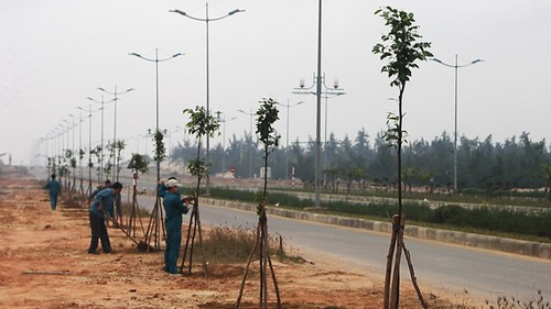 Đồng Hới trồng cây xanh trên đường Đại tướng Võ Nguyên Giáp  - ảnh 1